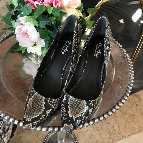 Charles David Vasto Python Pumps 10 - Picture 2 of 6